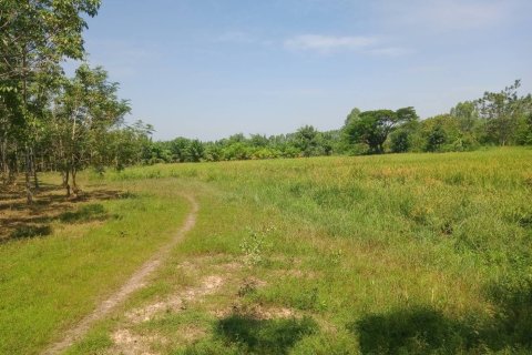 Terrain à Ban Dung, Thaïlande 28800 m2 № 159482 - photo 21