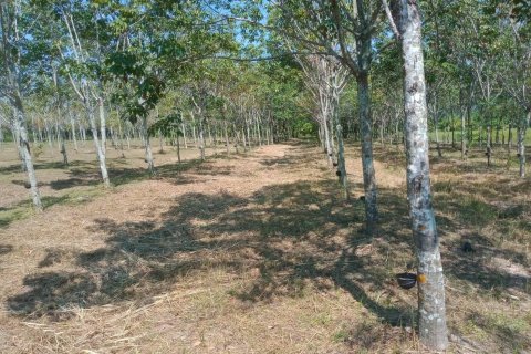 Terrain à Ban Dung, Thaïlande 28800 m2 № 159482 - photo 16