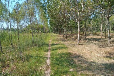 Terrain à Ban Dung, Thaïlande 28800 m2 № 159482 - photo 14