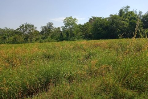 Terrain à Ban Dung, Thaïlande 28800 m2 № 159482 - photo 25