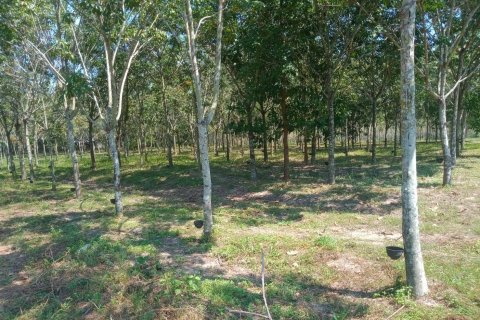 Terrain à Ban Dung, Thaïlande 28800 m2 № 159482 - photo 4