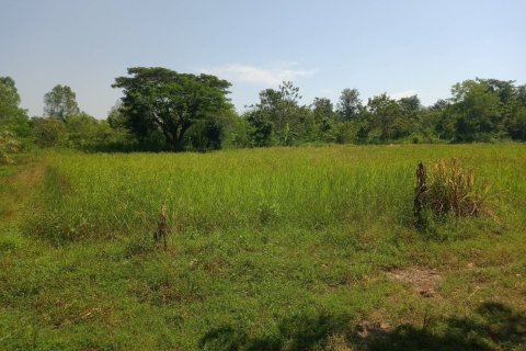 Terrain à Ban Dung, Thaïlande 28800 m2 № 159482 - photo 29