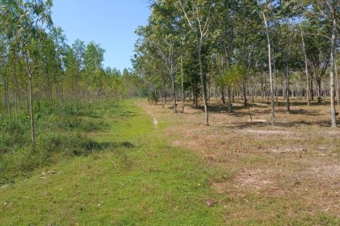 Terrain à Ban Dung, Thaïlande 28800 m2 № 159482 - photo 19
