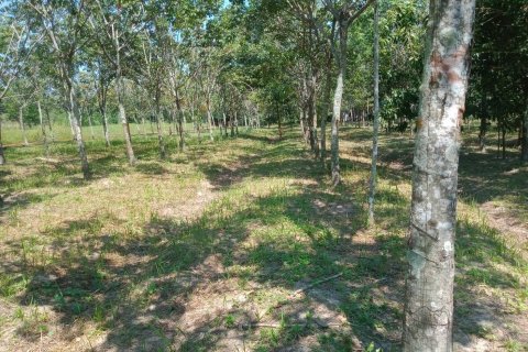 Terrain à Ban Dung, Thaïlande 28800 m2 № 159482 - photo 10