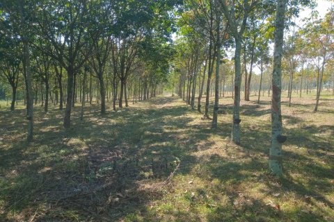 Terrain à Ban Dung, Thaïlande 28800 m2 № 159482 - photo 30