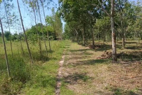 Terrain à Ban Dung, Thaïlande 28800 m2 № 159482 - photo 13