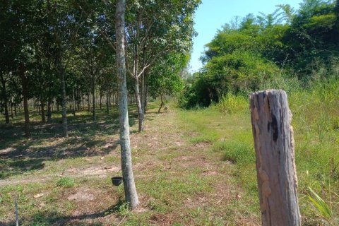 Terrain à Ban Dung, Thaïlande 28800 m2 № 159482 - photo 7