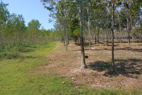 Terrain à Ban Dung, Thaïlande 28800 m2 № 159482 - photo 20