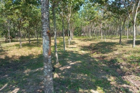 Terrain à Ban Dung, Thaïlande 28800 m2 № 159482 - photo 11