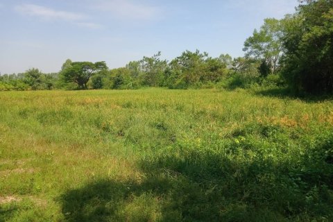 Terrain à Ban Dung, Thaïlande 28800 m2 № 159482 - photo 22