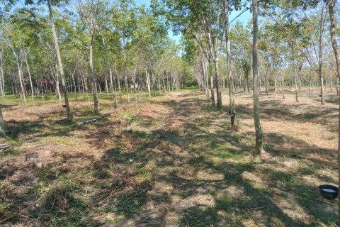 Terrain à Ban Dung, Thaïlande 28800 m2 № 159482 - photo 12