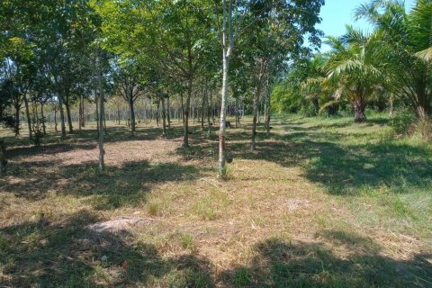 Terrain à Ban Dung, Thaïlande 28800 m2 № 159482 - photo 27