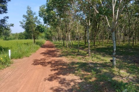 Terrain à Ban Dung, Thaïlande 28800 m2 № 159482 - photo 8