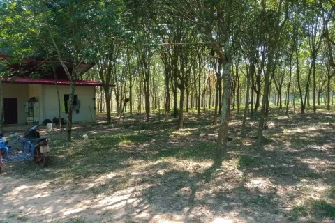 Terrain à Ban Dung, Thaïlande 28800 m2 № 159482 - photo 2