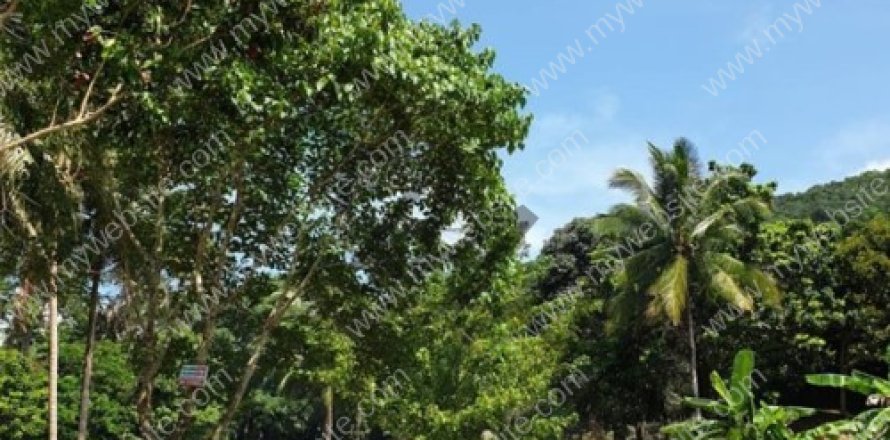 Grundstück in Ko Samui, Thailand № 222291