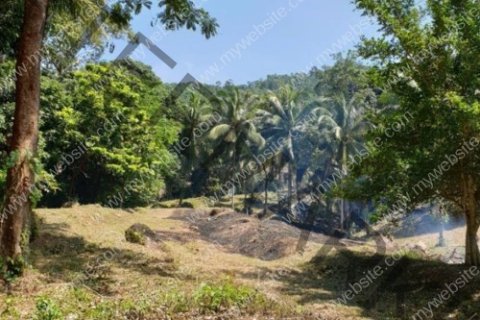 Grundstück in Ko Samui, Thailand № 222291 - Foto 3