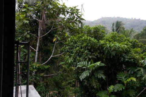 Земельный участок в Сураттхани, Таиланд 6472м2  № 157908 - фото 3