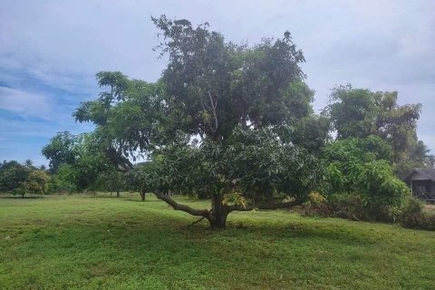 Land in Hua Hin, Thailand 4000 sq.m. № 140733 - photo 2