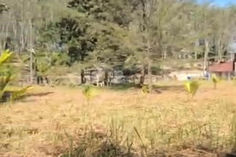 Земельный участок в Пхукете, Таиланд 2974.8м2  № 169499 - фото 5