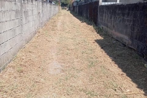 Land in San Sai, Thailand 2088 sq.m. № 169500 - photo 2