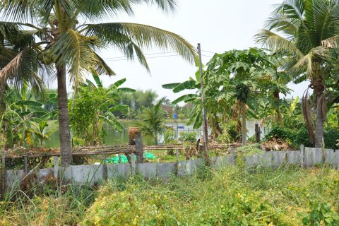 Land in San Sai, Thailand 2088 sq.m. № 169500 - photo 5