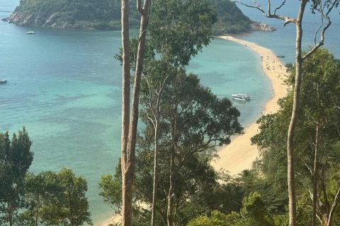 Земельный участок в Сураттхани, Таиланд 2200м2  № 170725