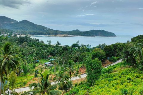 Земельный участок в Сураттхани, Таиланд 1600м2  № 170729 - фото 3