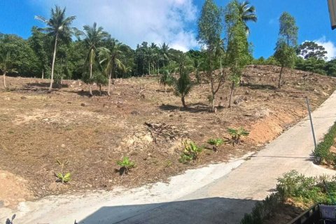 Земельный участок в Сураттхани, Таиланд 1600м2  № 170729 - фото 5