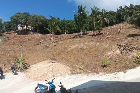 Земельный участок в Сураттхани, Таиланд 1600м2  № 170729 - фото 4