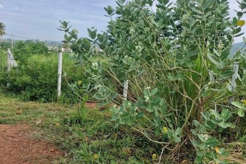 Земельный участок в Хуа Хине, Таиланд 7448м2 № 157296 - фото 4