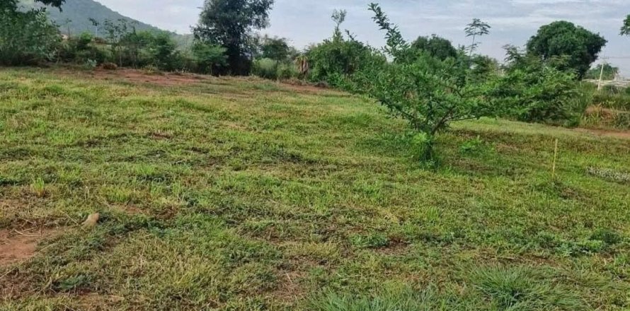 Земельный участок в Хуа Хине, Таиланд 7448м2 № 157296