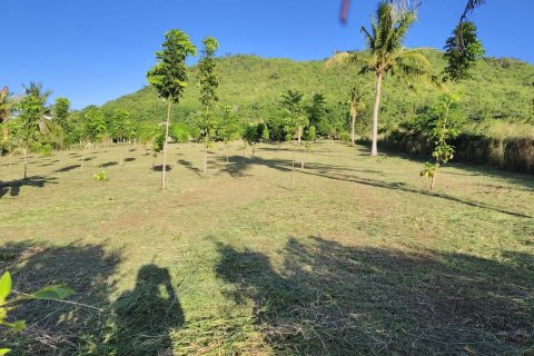 Terrain à Hua Hin, Thaïlande 5180 m2 № 155916 - photo 1