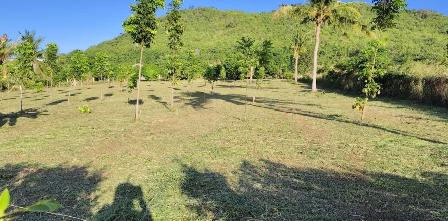 Terrain à Hua Hin, Thaïlande 5180 m2 № 155916