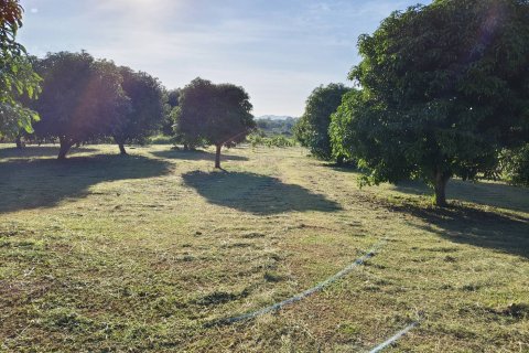 Terrain à Hua Hin, Thaïlande 5180 m2 № 155916 - photo 5