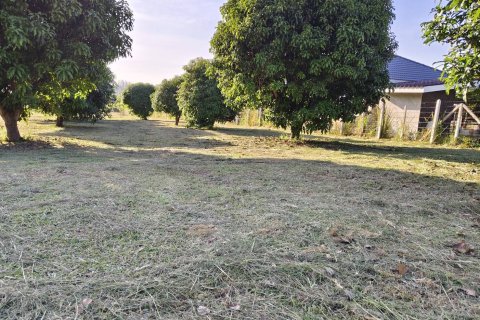 Terrain à Hua Hin, Thaïlande 5180 m2 № 155916 - photo 6