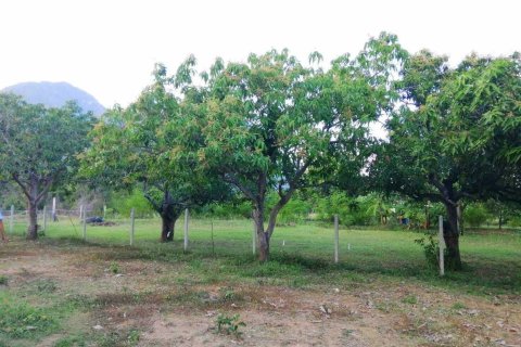 Land in Hua Hin, Thailand 4800 sq.m. № 158983 - photo 10