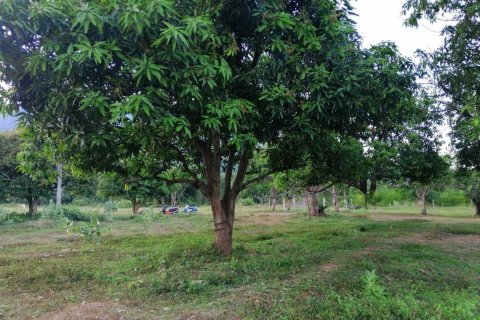 Land in Hua Hin, Thailand 4800 sq.m. № 158983 - photo 13