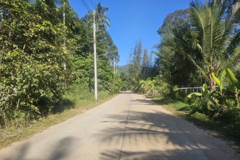 Land in Ko Samui, Thailand 4608 sq.m. № 159189 - photo 8
