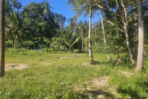 Land in Ko Samui, Thailand 4608 sq.m. № 159189 - photo 2