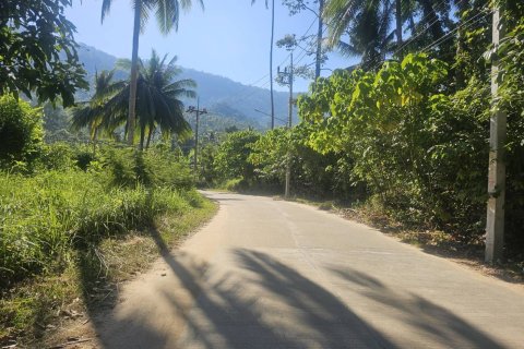 Land in Ko Samui, Thailand 4608 sq.m. № 159189 - photo 9