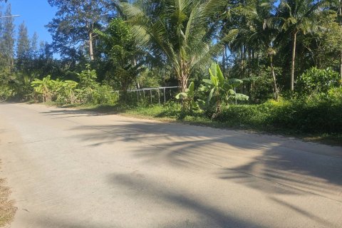 Land in Ko Samui, Thailand 4608 sq.m. № 159189 - photo 5