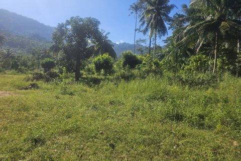 Land in Ko Samui, Thailand 4608 sq.m. № 159189 - photo 4