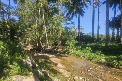 Land in Ko Samui, Thailand 4608 sq.m. № 159189 - photo 3