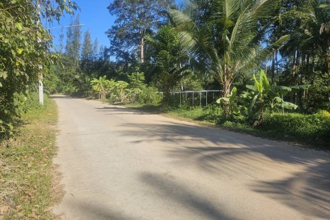 Land in Ko Samui, Thailand 4608 sq.m. № 159189 - photo 6