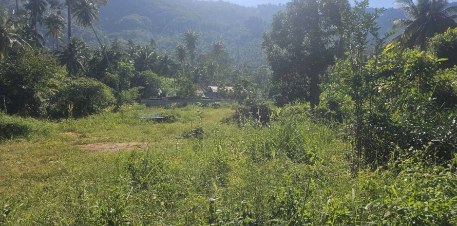 Land in Ko Samui, Thailand 4608 sq.m. № 159189