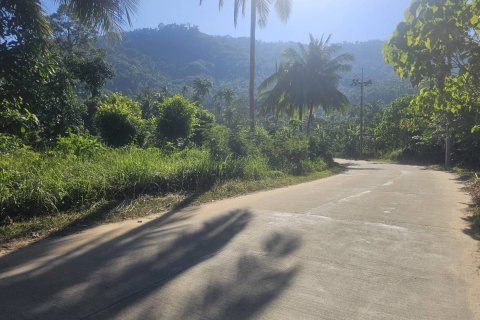 Land in Ko Samui, Thailand 4608 sq.m. № 159189 - photo 7
