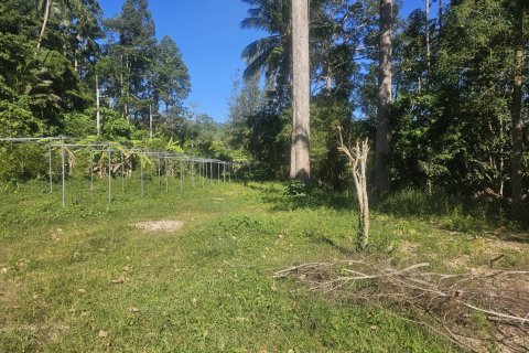 Land in Ko Samui, Thailand 4608 sq.m. № 159189 - photo 10