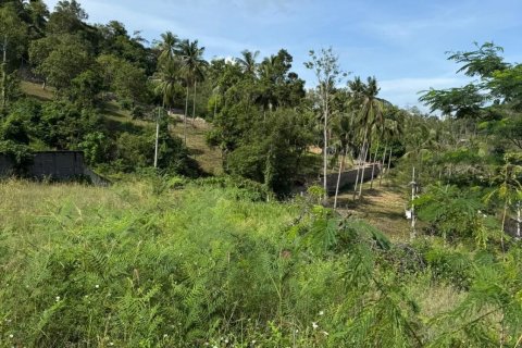 Terrain à Ko Samui, Thaïlande 2067 m2 № 159188 - photo 5