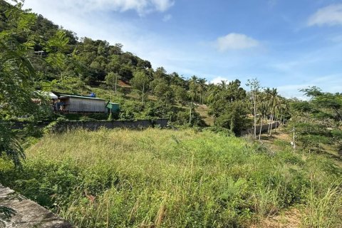 Terrain à Ko Samui, Thaïlande 2067 m2 № 159188 - photo 4