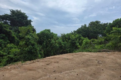 Terrain à Phuket, Thaïlande 298 m2 № 136886 - photo 5